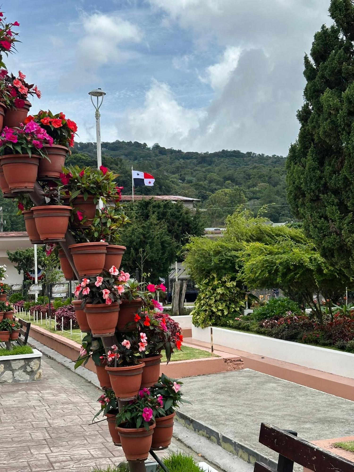 La Casa De Dona Cata Hotel Bajo Boquete Exterior foto